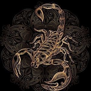 Meet your Posher, Danny